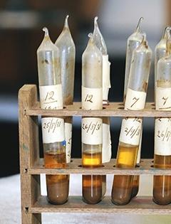 Chaim Weizmann test tubes 历史