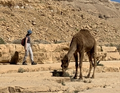 Wadi Heimar 2019.