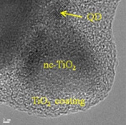 混合量子dot-dot dye细胞的薄片TEM图像