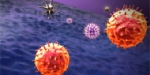 控制B细胞在疾病中的存活