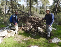 Weizmann Tree Lab Group与访客Simon Landhausser（加拿大）和Guenter Hoch博士（瑞士）